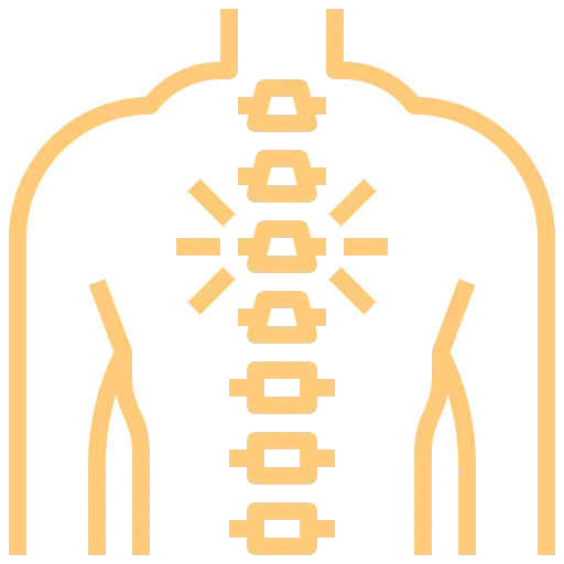 Illustration of a human spine and ribs in a stylized outline.